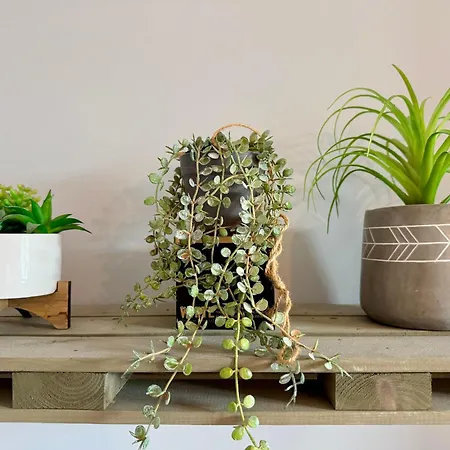 Le Royal Eight Coeur De